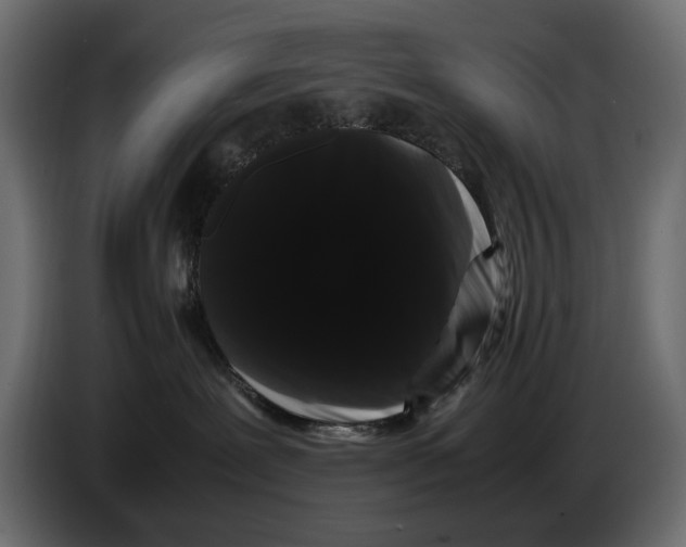 X0000082940239200703020134