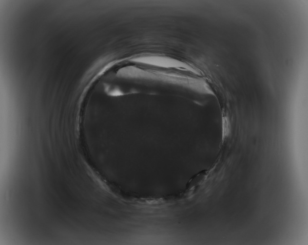 X0000082940243200703020133