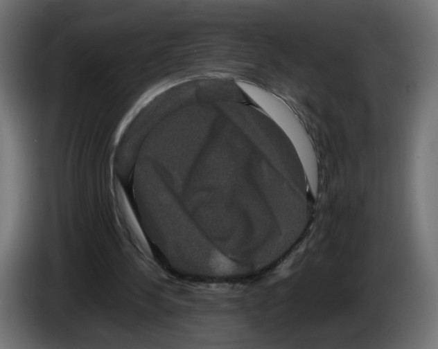 X0000082940244200703020133