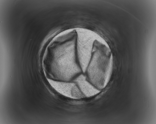 X0000082940245200703020133