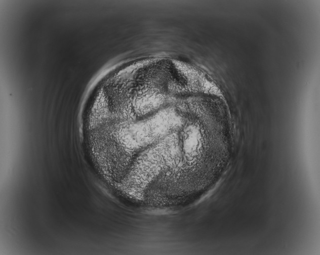 X0000082940246200703020133