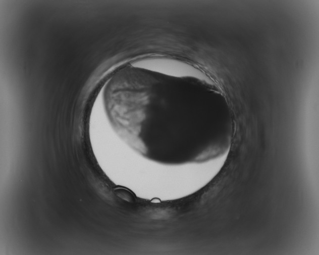 X0000082940247200703020133