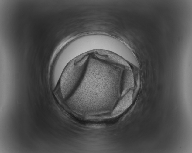 X0000082940248200703020133