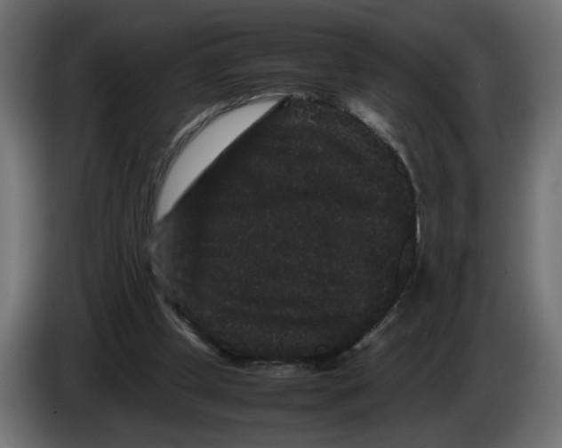 X0000082940249200703020133