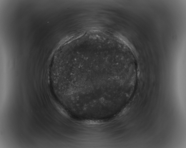 X0000082940250200703020133