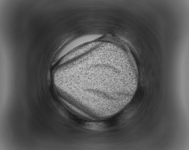 X0000082940251200703020133