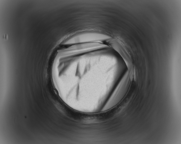 X0000082940252200703020133