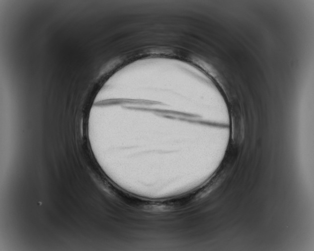 X0000082940253200703020133