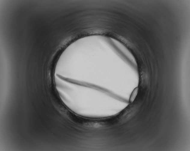 X0000082940254200703020133