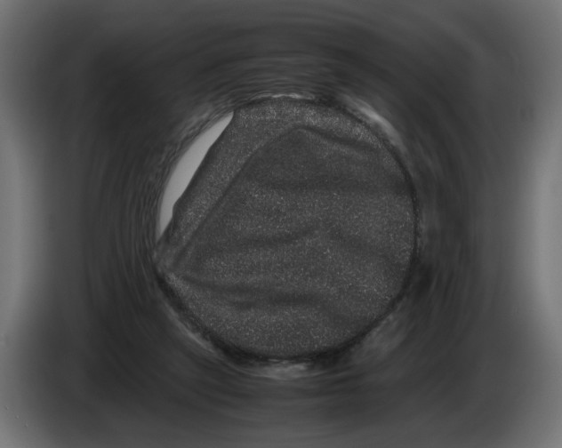 X0000082940257200703020133