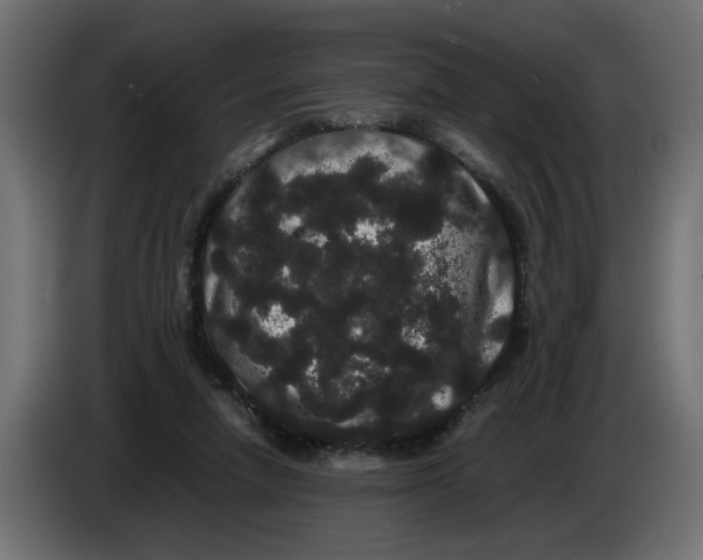 X0000082940258200703020133