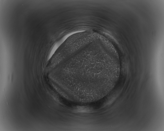 X0000082940259200703020133