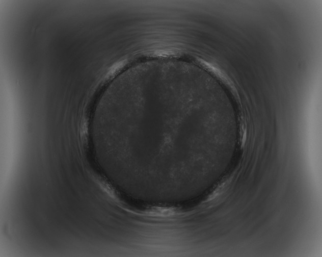 X0000082940260200703020133