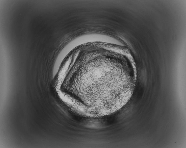 X0000082940261200703020133