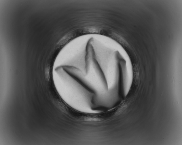 X0000082940262200703020134