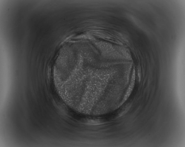 X0000082940263200703020134