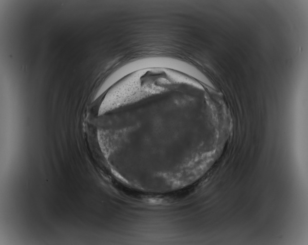 X0000082940264200703020134