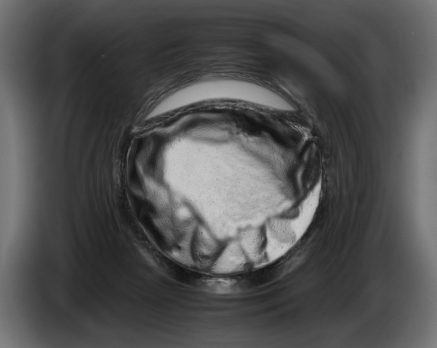 X0000082940265200703020134