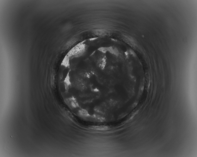 X0000082940266200703020134