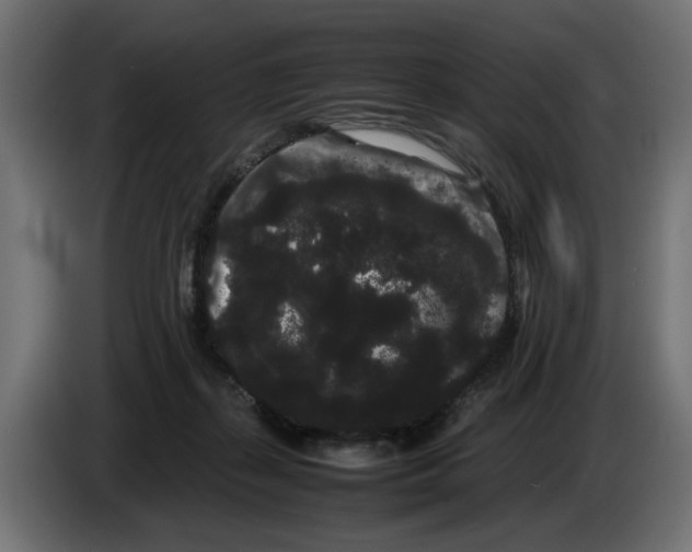 X0000082940267200703020134