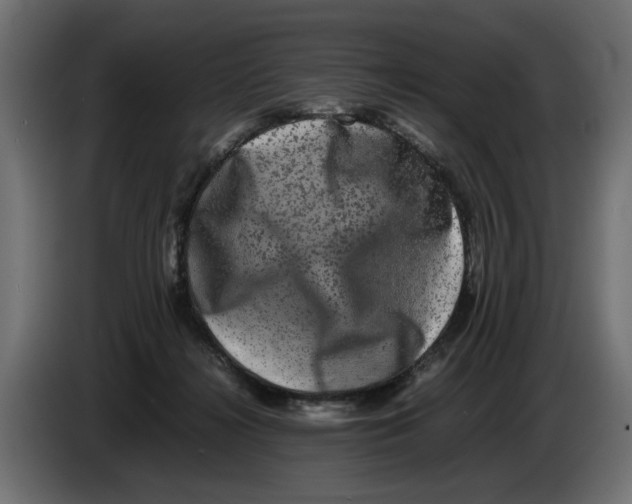 X0000082940268200703020134