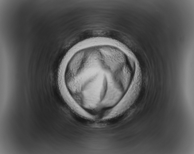 X0000082940270200703020134