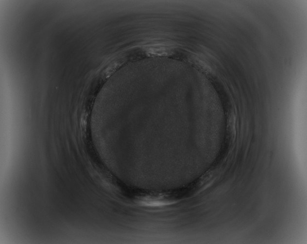 X0000082940271200703020134