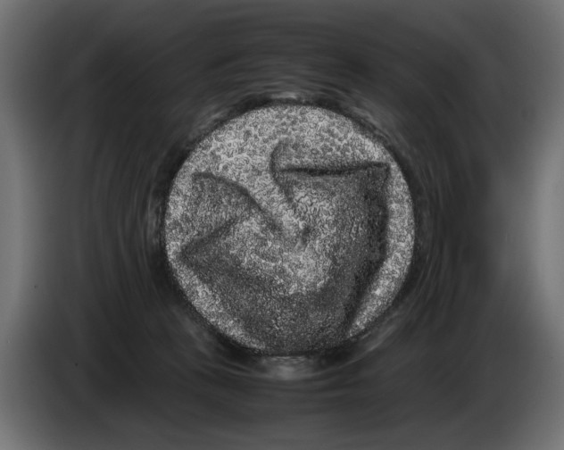 X0000082940273200703020134