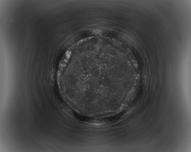 X0000082940275200703020134