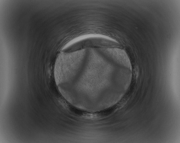 X0000082940276200703020134