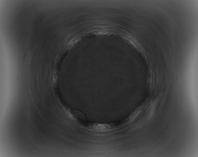 X0000082940277200703020134