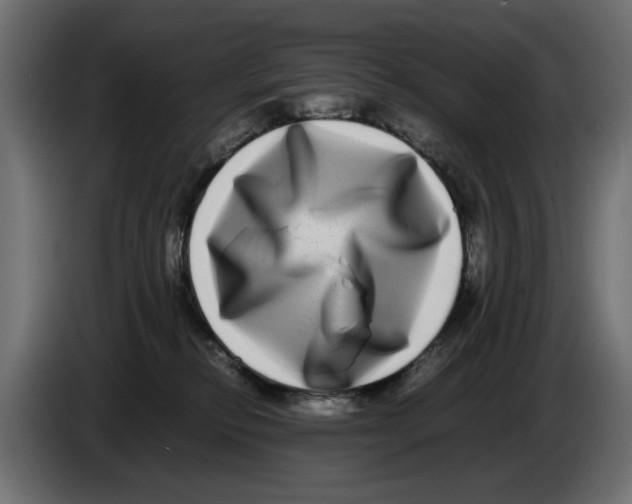 X0000082940278200703020134