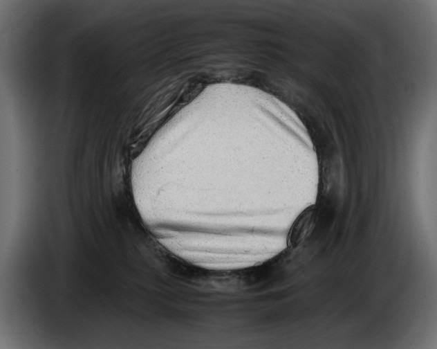 X0000082940279200703020134