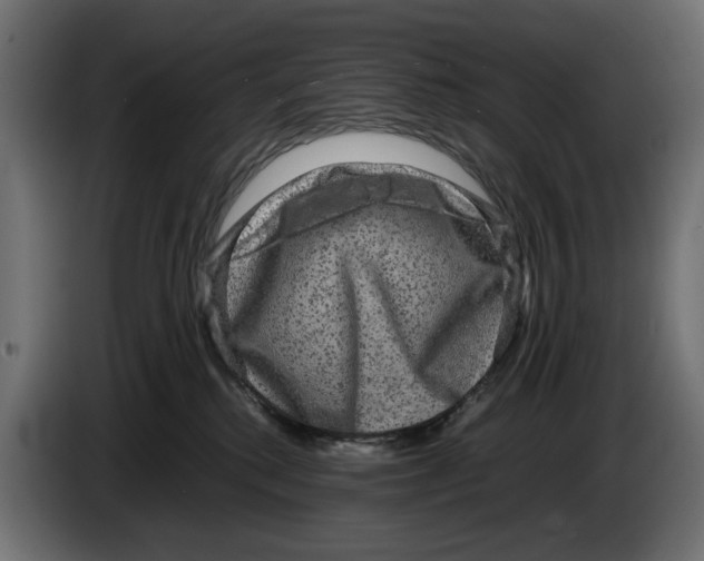 X0000082940280200703020134