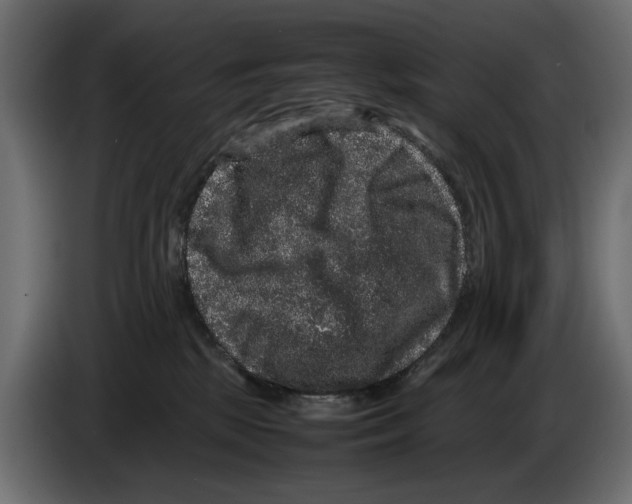 X0000082940281200703020134