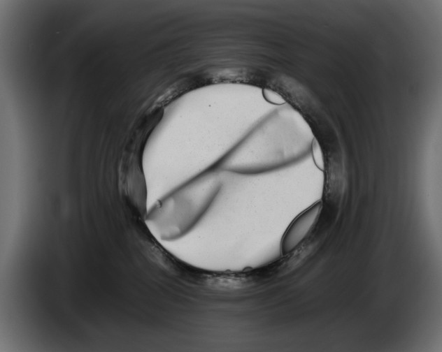 X0000082940282200703020134