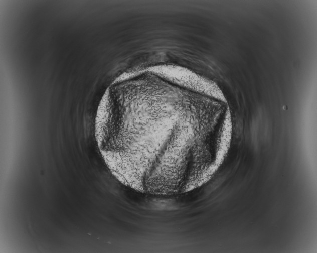 X0000082940283200703020134