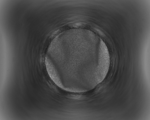 X0000082940284200703020134