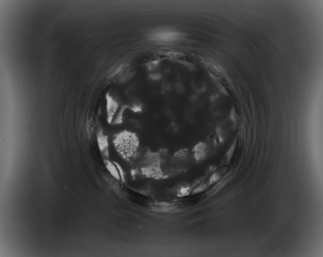 X0000082940285200703020134