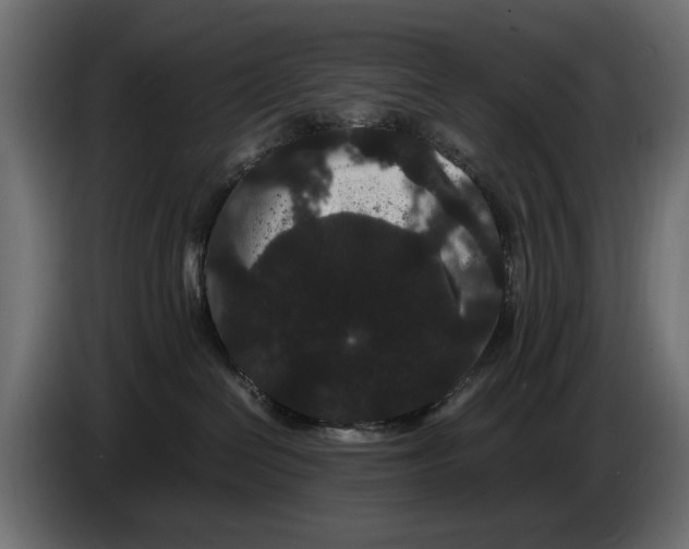 X0000082940286200703020134