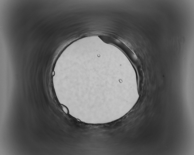 X0000082940289200703020133