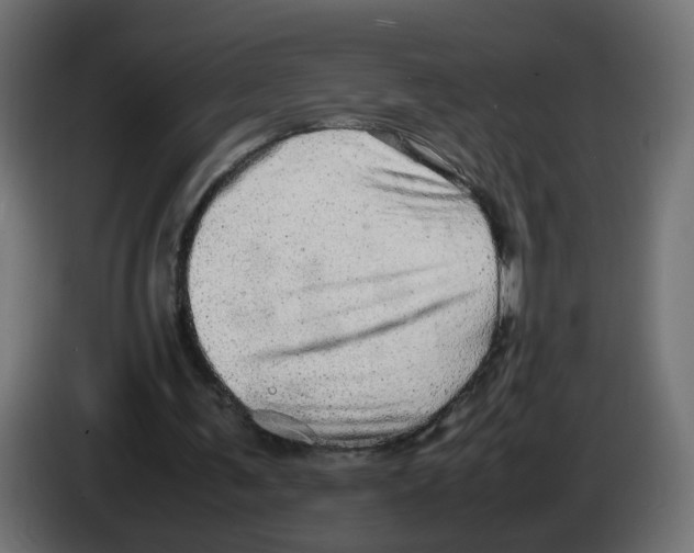 X0000082940291200703020133