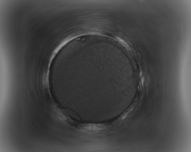 X0000082940292200703020133