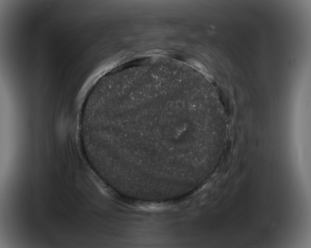 X0000082940293200703020133