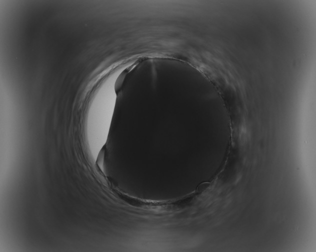 X0000082940295200703020133