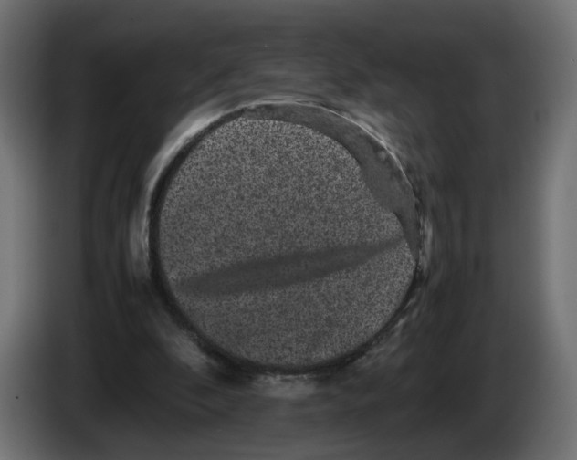 X0000082940296200703020133