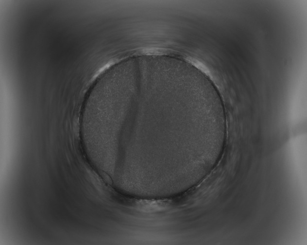 X0000082940297200703020133