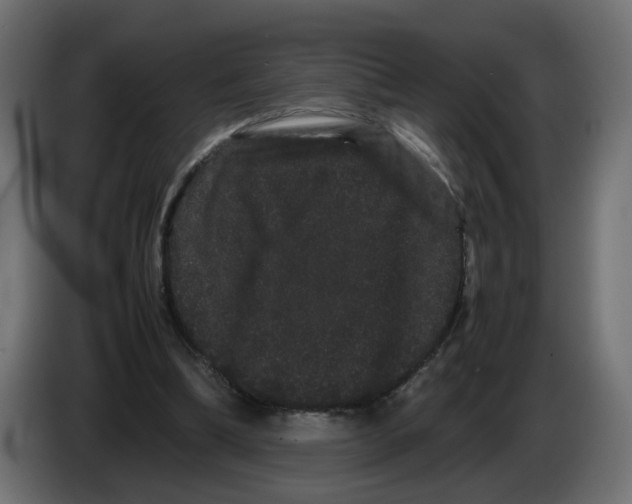 X0000082940298200703020133