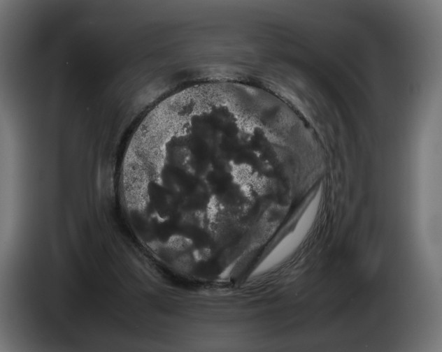 X0000082940299200703020133