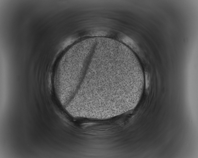 X0000082940300200703020133